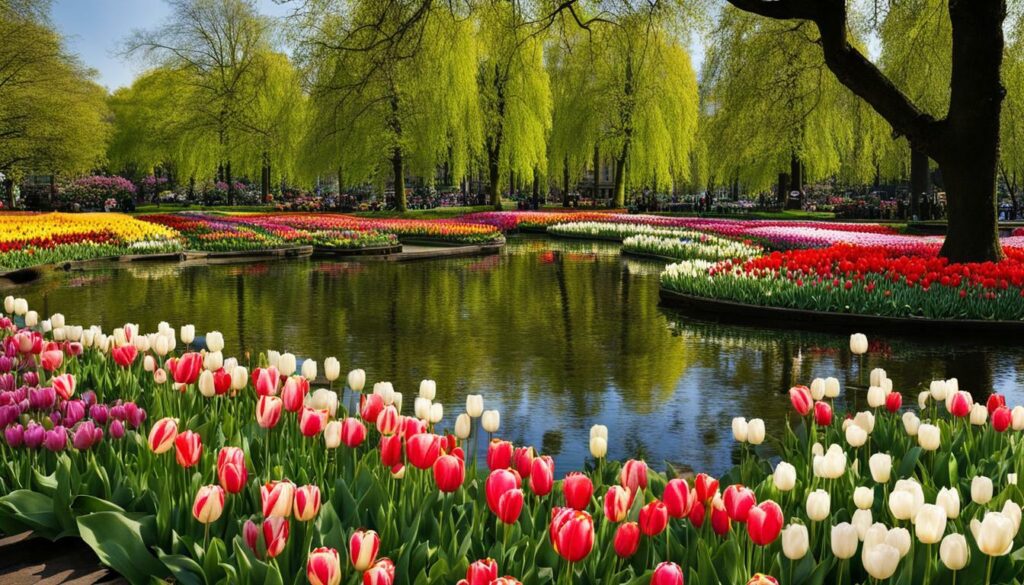 Amsterdam Tulipe Parc