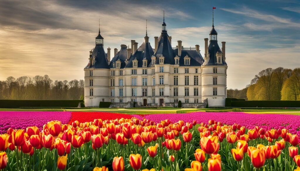 Château de Cheverny et tulipes