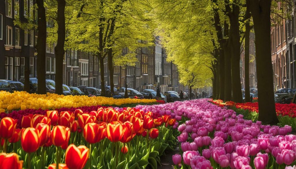 Conseils pour profiter au mieux de la Saison Tulipe Amsterdam