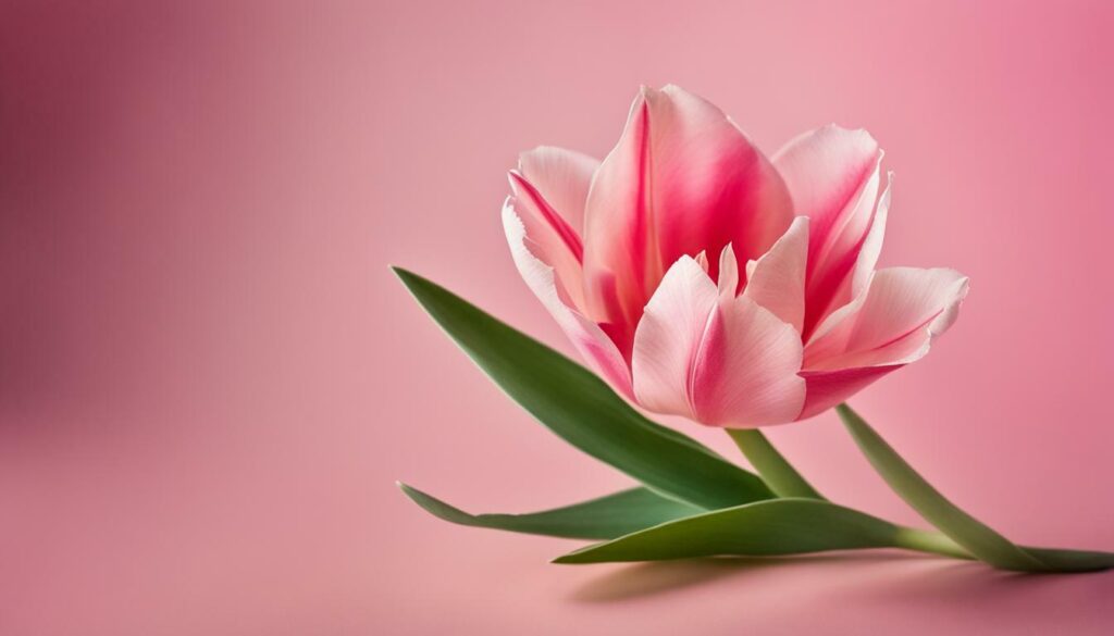 Tulipe en Papier